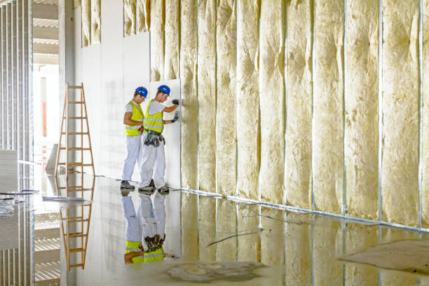 Best Eco-Friendly Insulation in Jennings Lodge, OR